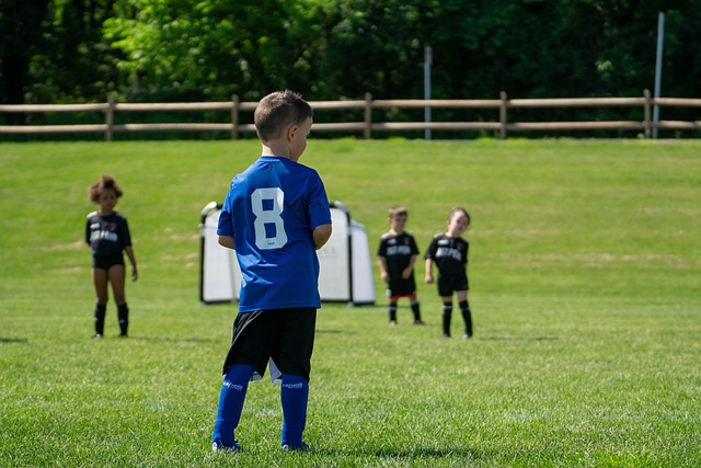 （哈尔滨亚冬会）“精冰”“雪将”齐上阵 中国队主场作战力争佳绩.