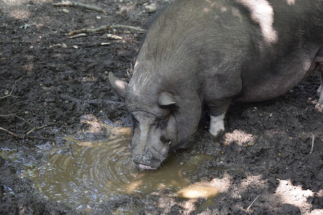 利茲聯官宣：西班牙教頭哈維格拉西亞出任球隊一線隊主教練！.